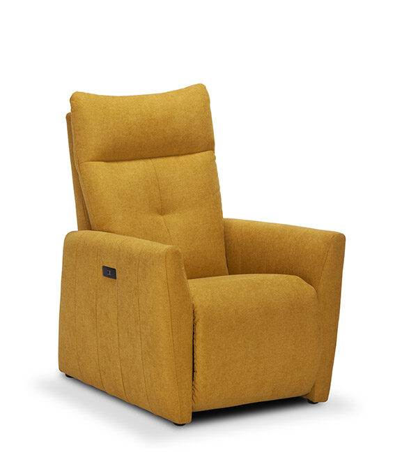 CONSTANCE FAUTEUIL MULTIPOSITIONS FERME